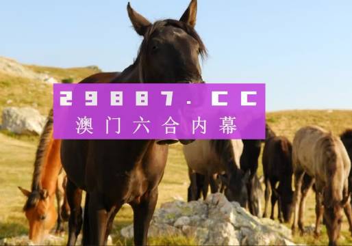 澳门与香港管家婆一肖一码一中一|精选解释解析落实