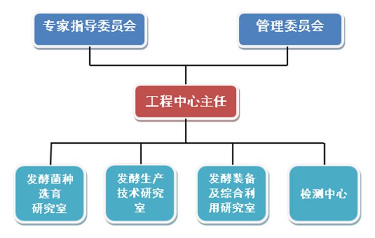 加加食品公司最新动态，重塑品牌，引领健康调味品新风尚