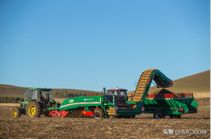 江苏油菜价格最新行情，市场波动与影响因素分析