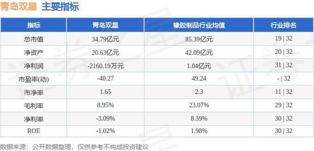 青岛双星股票最新消息，转型之路与未来展望