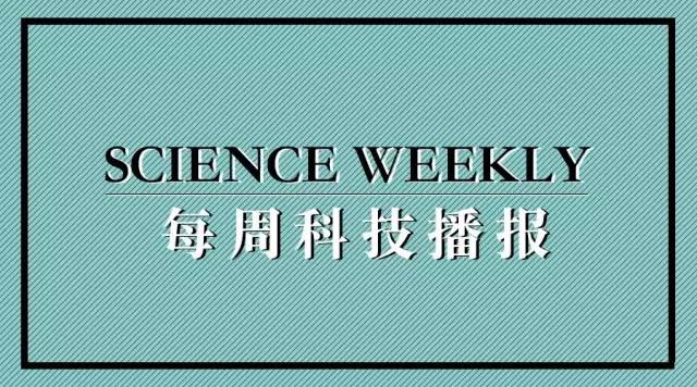 抑郁症的最新研究新闻，科学前沿的进展与挑战