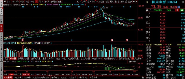 TCL股票最新消息，全球布局与技术创新引领未来发展