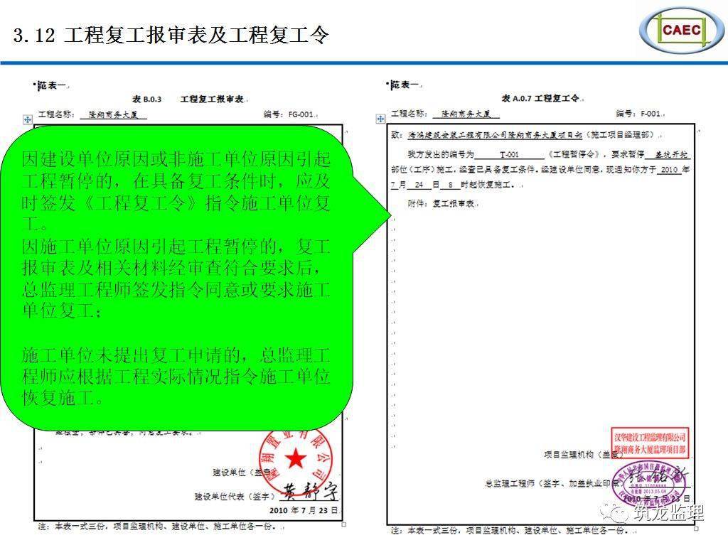 大叔我不逃了，最新章节的深情剖析