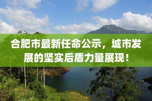 合肥市最新副市长名单，新领导班子引领城市发展新篇章