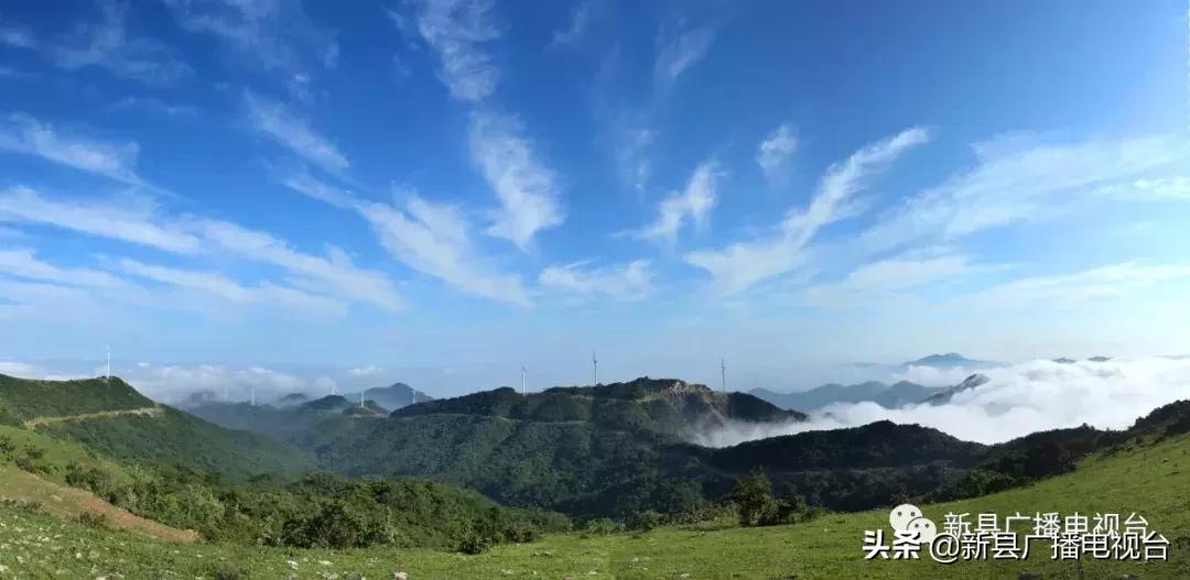 新县组织部最新任免，深化组织建设，推动县域发展