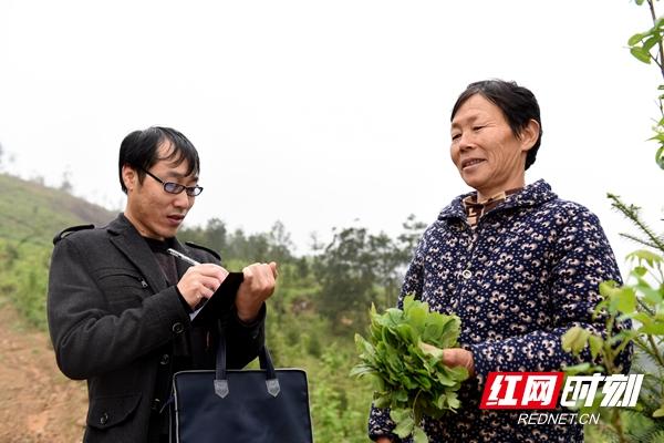 绥宁县2017最新招聘，开启人才新篇章